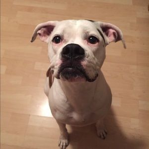 Meet your Posher, Carl